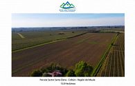 Se vende Parcela Agricola de 15,8 hectareas en Panimavida