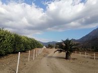 Venta Terreno construccion Hijuelas F-304, sector las palmas de ocoa. hijuelas