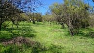 Hermosa parcela de 6743 mts reserva ecológica oasis de la campana, hijuelas